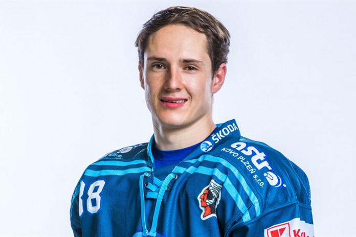 kodýtek