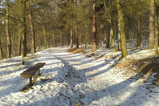 Rokycany zahájily dlouho plánované úpravy Husových sadů a Kalvárie