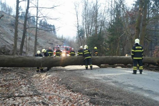 Západní Čechy zasáhne silný vítr, varují meteorologové!