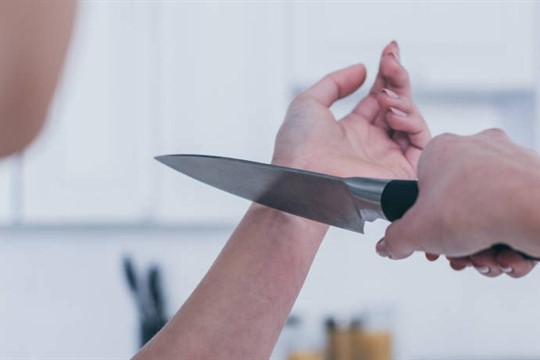 Sebevrahovi v Plzni zachránily život fotky na sociální síti. Všimla si jich žena z východních Čech!