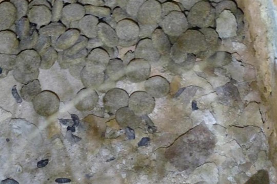 Trus a obrovský nepořádek. Tak to vypadalo ve skladu prodejny v Nýřanech. Inspekce část uzavřela!