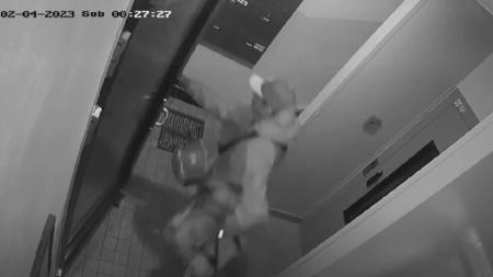 Policisté pátrají po pachateli, který se vloupal do sklepní kóje. Podezřelého zachytila kamera!