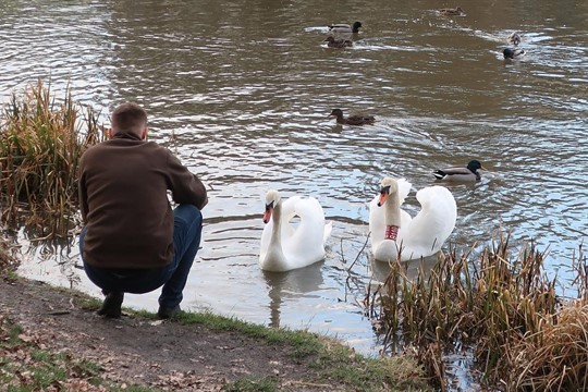 Postrach kanoistů v Plzni se nedaří odchytit. Zvířecím záchranářům se krátí čas!