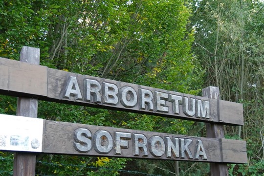 Arboretum Sofronka je domovem světové sbírky borovic. Vydejte se na prohlídku a křest knihy