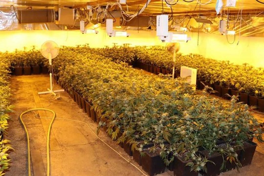 Velké drogová razie v Plzeňském kraji. Při domovní prohlídce našli policisté samopal!