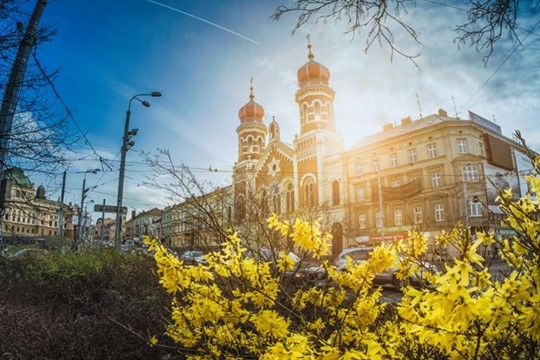 Kulturní a společenské akce druhé poloviny pracovního týdne se v Plzni ponesou ve znamení jara