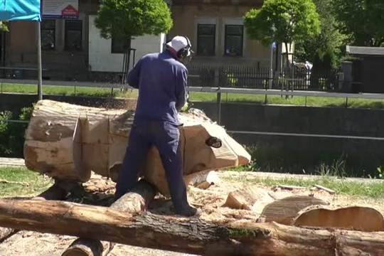 Děti ve Frýdlantu navrhly nové sochy pro park