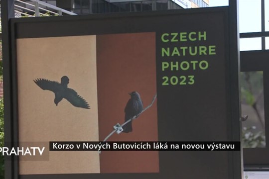 Korzo v Nových Butovicích láká na novou výstavu