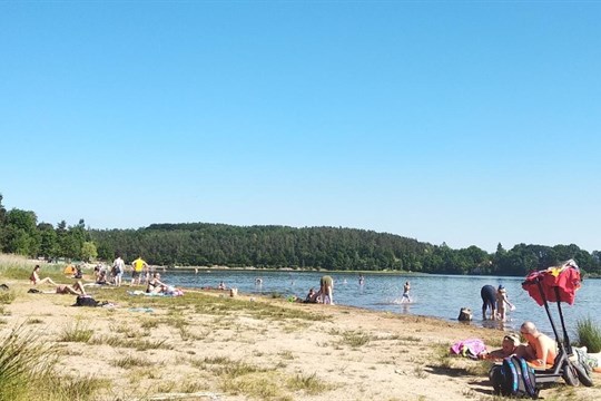 Koupaliště v Plzeňském kraji mají vodu vhodnou ke koupání, sinic je zatím málo