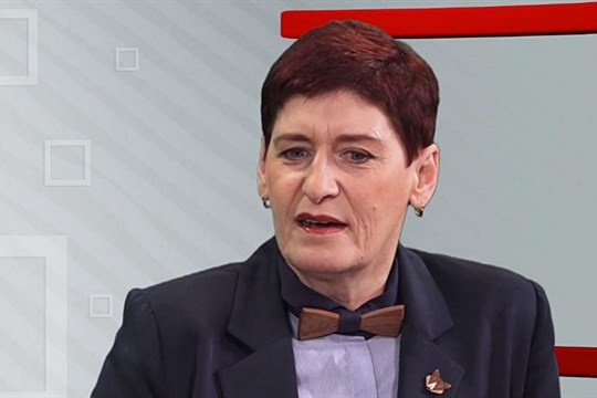 Rozhodně bych neprosazovala koupi neprodejné ruiny za veřejné peníze, říká Marcela Hollerová