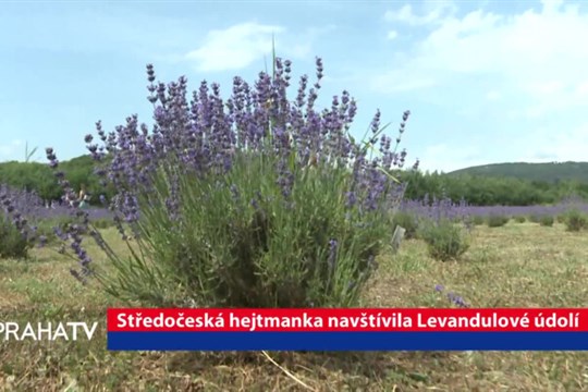 Středočeská hejtmanka navštívila Levandulové údolí