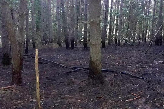 Hasiči v Plzeňském kraji likvidovali v červenci už 121 hořících polí, luk a lesů