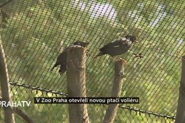 V Zoo Praha otevřeli novou ptačí voliéru