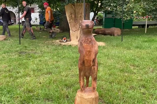 Řezbáři na Českolipsku ohromili svou zručností