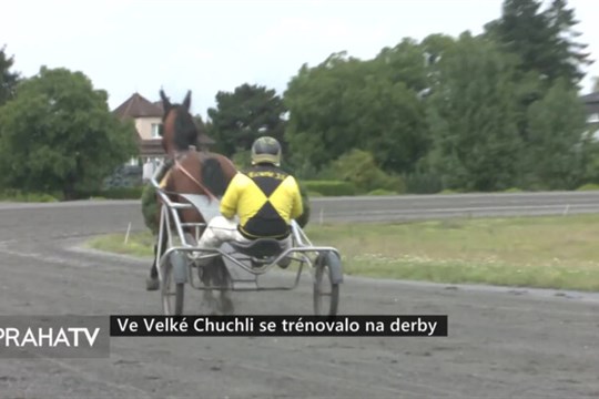 Ve Velké Chuchli se trénovalo na derby