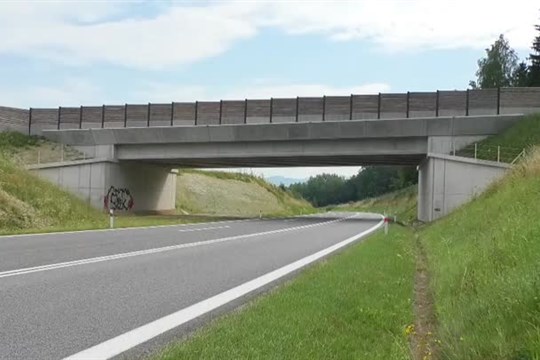 Ekodukt nad I/13 zabraňuje srážkám se zvěří