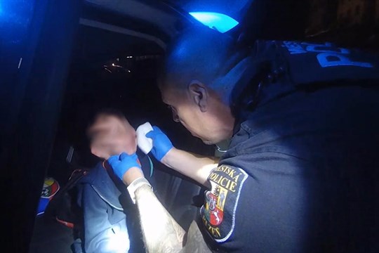 Šestileté dítě, které v Plzni napadl muž, krvácelo z hlavy, rukou a nohou