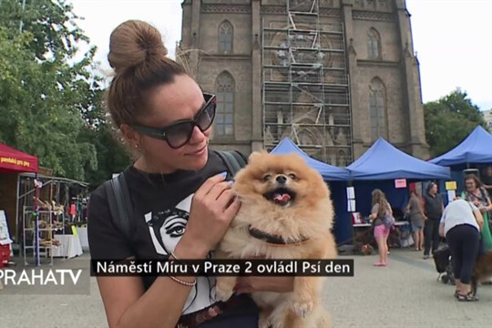 Náměstí Míru v Praze 2 ovládl Psí den