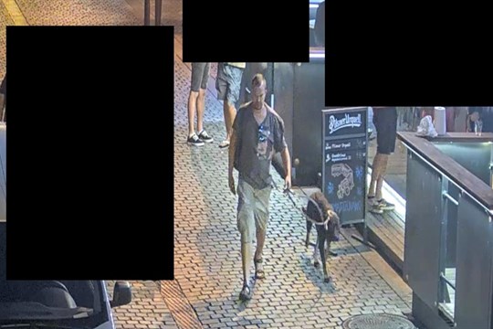 Před klubem v centru Plzně došlo ke rvačce. Policisté hledají muže na fotce!