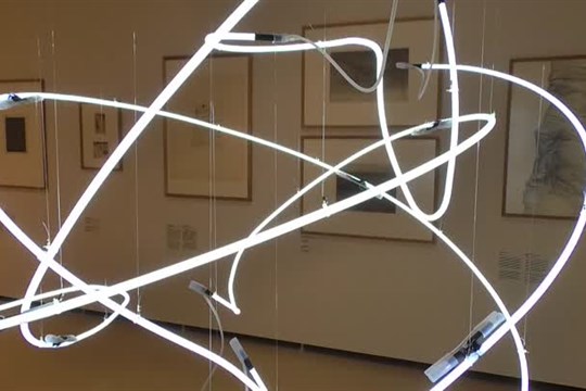 V liberecké galerii hrají hlavní roli Linie