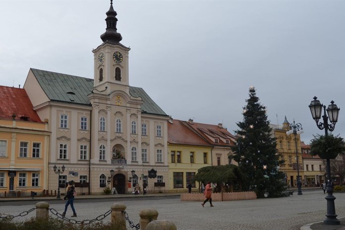 Rokycany hledají vánoční strom, má jít o jedli nebo smrk