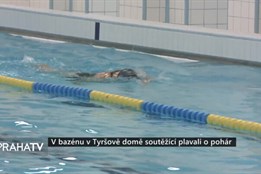 V bazénu v Tyršově domě soutěžící plavali o pohár