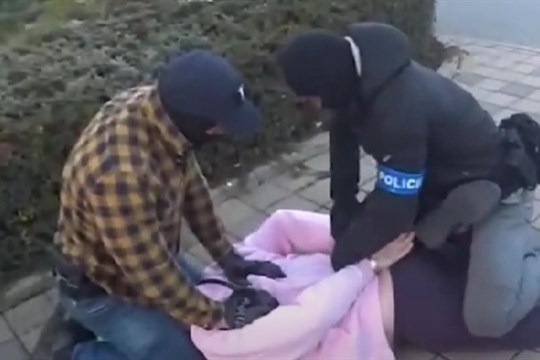 VIDEO: Muže nalezeného v ohořelém autě na Tachovsku zavraždili pro peníze