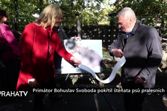 Primátor Bohuslav Svoboda pokřtil štěňata psů pralesních
