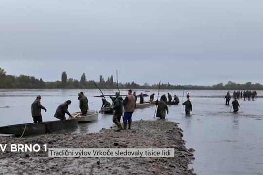 Tradiční výlov Vrkoče sledovaly tisíce lidí
