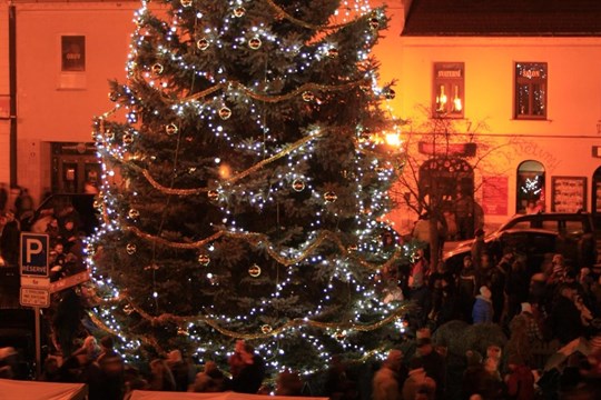 Vánoční strom v Rokycanech se rozsvítí v sobotu 2. prosince. Do města přijede poštovský panáček!