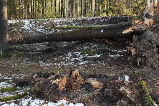 Rozmary počasí zaměstnávají hasiče, nejvíce výjezdů hlásí na Tachovsku
