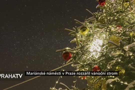 Mariánské náměstí v Praze rozzářil vánoční strom