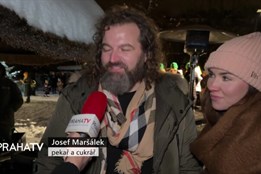 Vánoční strom v Zoo Praha rozsvítily známé tváře