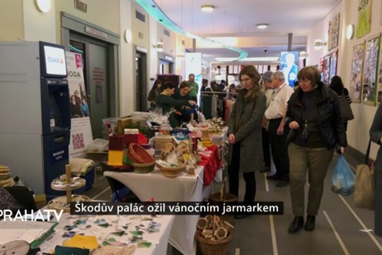 Škodův palác ožil vánočním jarmarkem