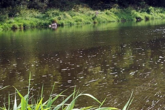 Aktualizováno: Vydatné deště zvedly v noci hladiny řek na Šumavě!