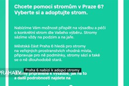 Praha 6 nabízí k adopci stromy