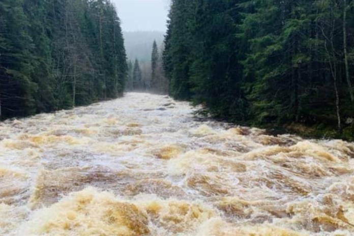 Šumavské řeky Vydra, Křemelná a Otava mají po deštích první povodňové stupně