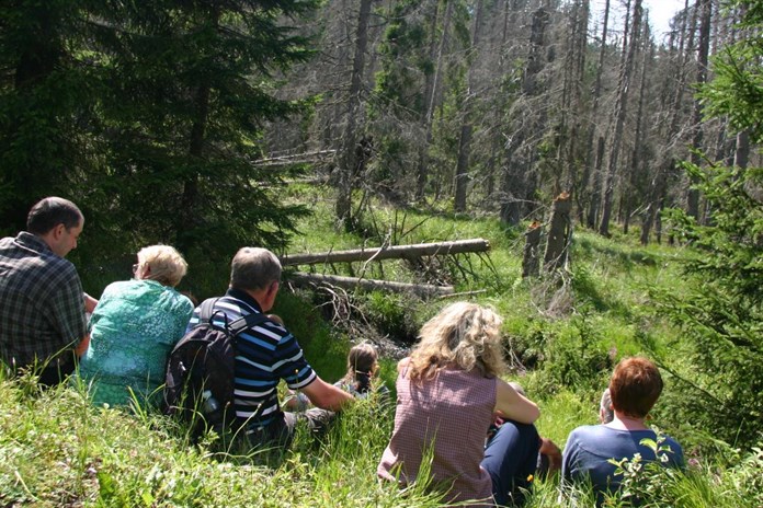 Divoká příroda NP Šumava loni lákala. Návštěvnost byla nižší, než v koronavirové době, ale vyšší, než před ní