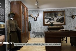 Výstava na Špilberku láká do jihomoravských lesů