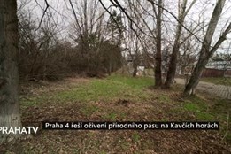 Praha 4 řeší oživení přírodního pásu na Kavčích horách