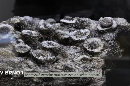 Moravské zemské muzeum zve do světa nerostů
