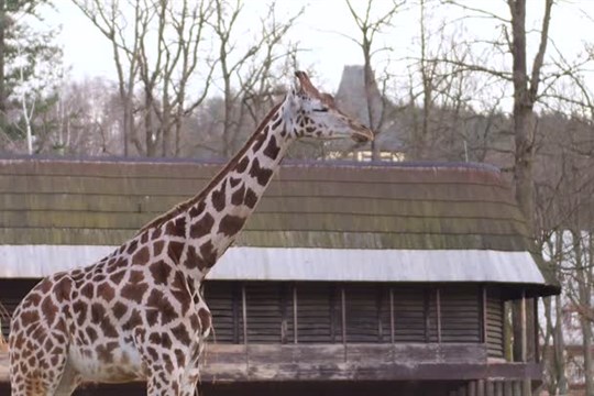 Zoologickou zahradu čekají milionové investice