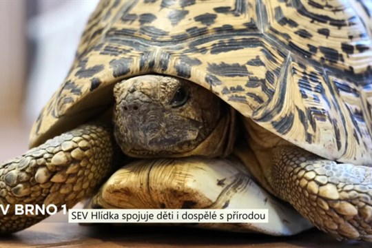 SEV Hlídka spojuje děti i dospělé s přírodou