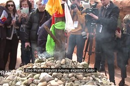 Zoo Praha otevírá novou expozici Gobi