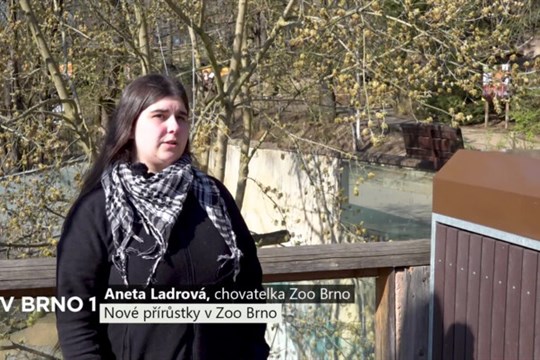 Nové přírůstky v Zoo Brno