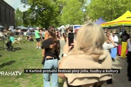 V Karlíně proběhl festival plný jídla, hudby a kultury