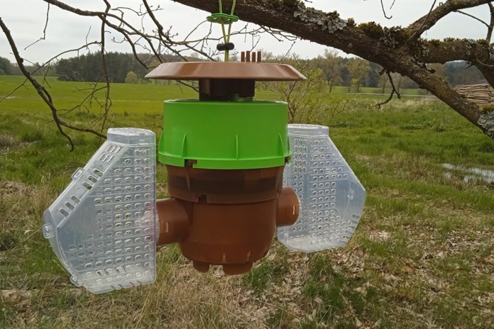 V boji proti sršni asijské mají pomoci návnady v pastích podél dálnice D5