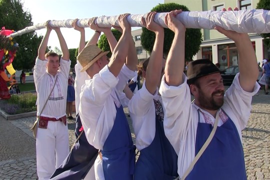 Folkloristé vztyčili máju tradičním způsobem