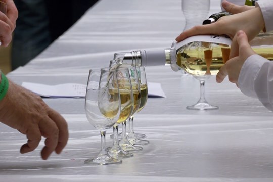Vinaři z Mařatic pozvali veřejnost na tradiční prvomájový košt