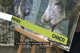 V pražské Zoo se konaly křtiny
